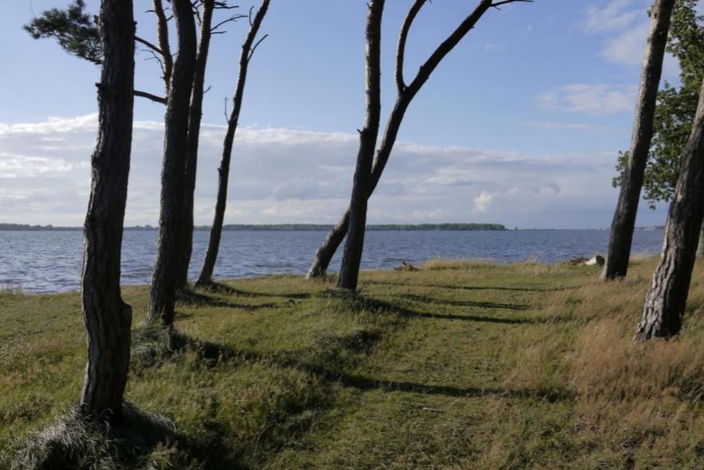 Fewo 08 Seemoewe Mit Blick Auf Salzhaff Und Ostsee 奥斯特巴德里克 外观 照片